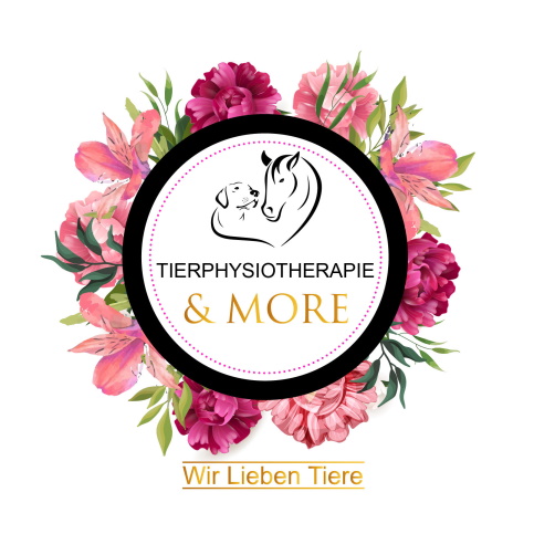 tierphysiotherapie-and-more