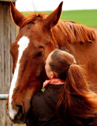 Sarah Kostic bei der Tierphysiotherapie für Pferde