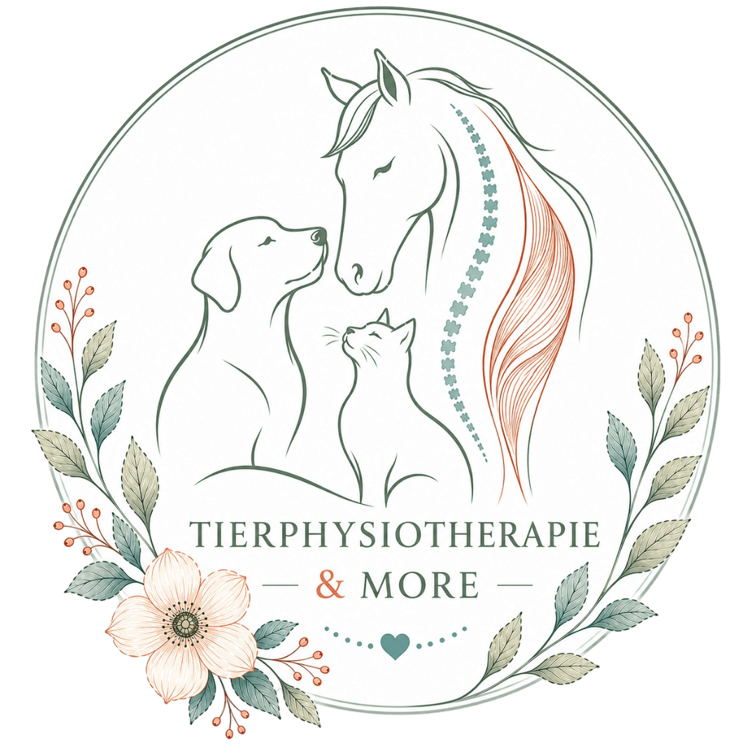 Hund Katze und Pferd. Tierphysiotherapie Mönchengladbach. Sarah Kostic.
